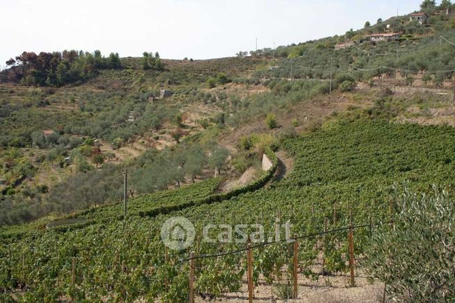 Terreno agricolo in commerciale in Via Miramonti 3