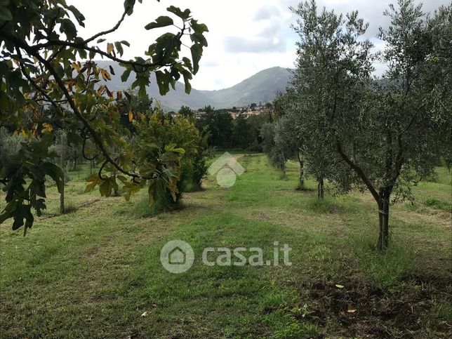 Terreno agricolo in commerciale in Contrada San Paolo