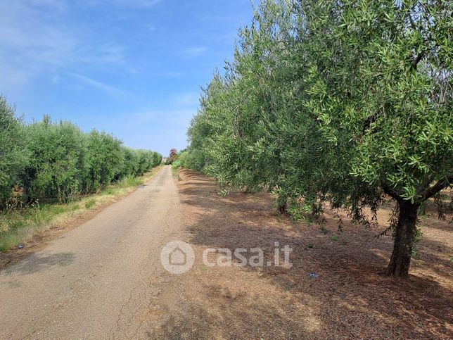 Terreno agricolo in commerciale in Via San Gennaro