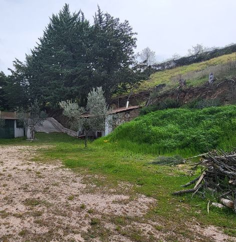 Terreno agricolo in commerciale in Località Ravignano