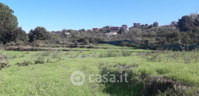 Terreno edificabile in residenziale in Via Cofanara 3