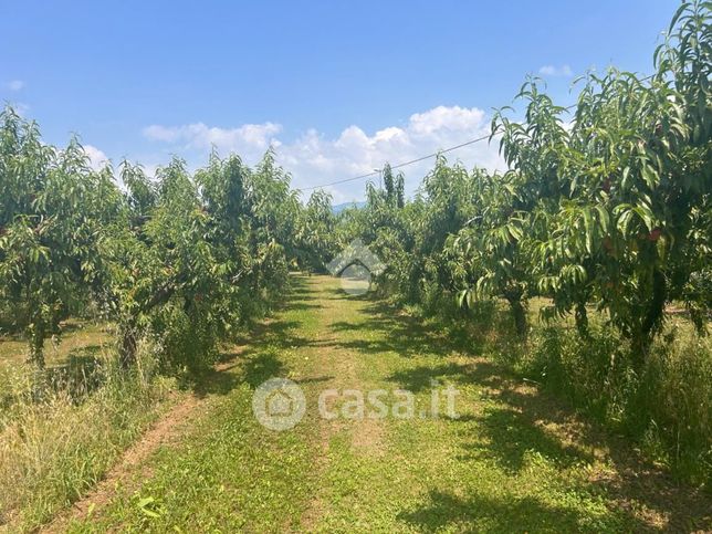 Terreno agricolo in commerciale in Corso Porta Nuova