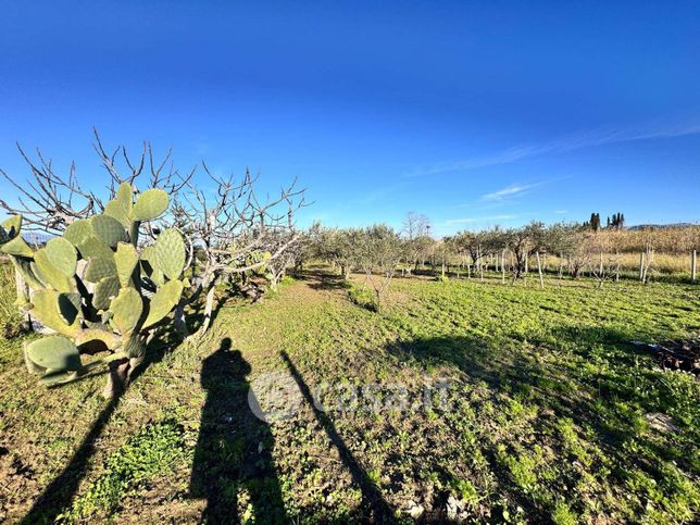 Terreno agricolo in commerciale in 