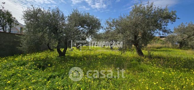 Terreno agricolo in commerciale in Via delle Primule 1 /terreno