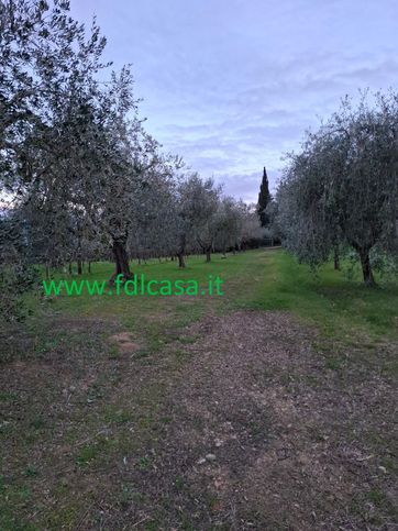 Terreno agricolo in commerciale in Via del Ferrone