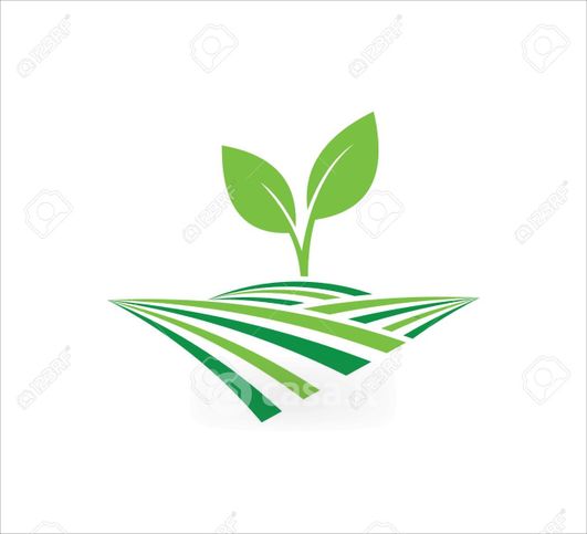 Terreno agricolo in commerciale in Via Giuseppe Verdi