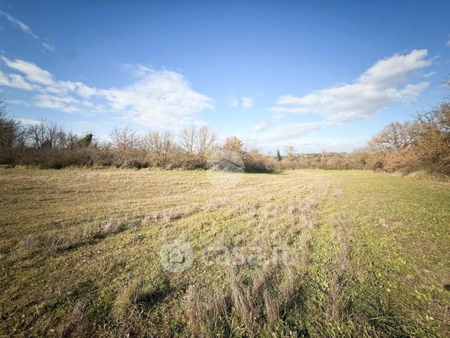 Terreno agricolo in commerciale in Via delle Vigne Nuove 10