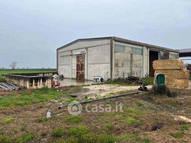 Capannone in commerciale in LocalitÃ  Petrognano