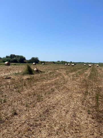 Terreno agricolo in commerciale in 