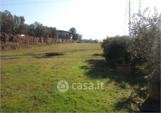Terreno agricolo in commerciale in Via di Strognano