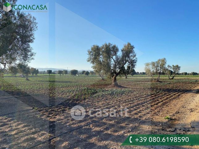 Terreno agricolo in commerciale in Contrada Egnazia