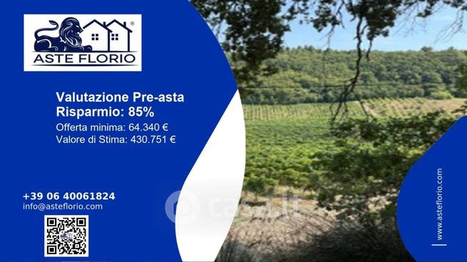 Terreno agricolo in commerciale in Contrada Fontursia 1