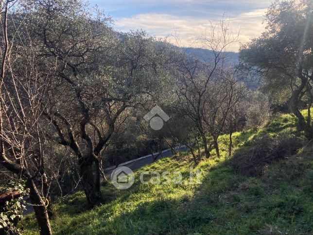 Terreno agricolo in commerciale in Località Pastene