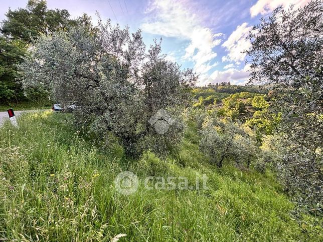 Terreno agricolo in commerciale in Via di Brandeglio 105