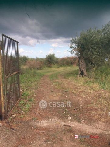 Terreno edificabile in residenziale in Contrada Lacagnina
