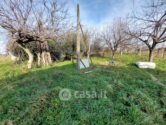 Terreno agricolo in commerciale in Via Pasquala