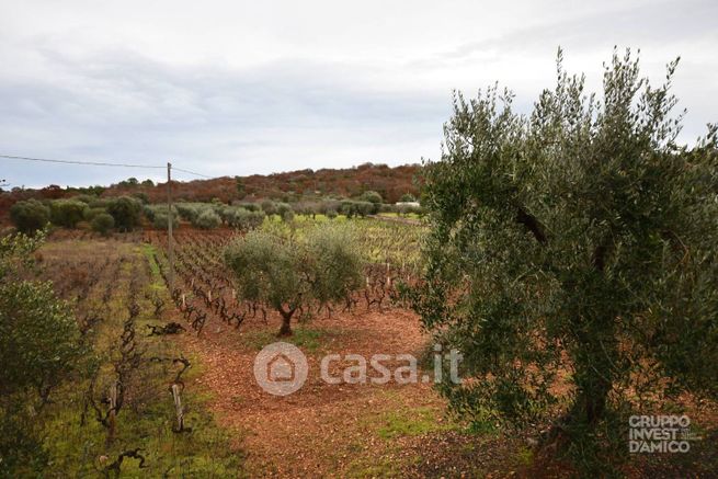 Terreno agricolo in commerciale in Contrada Grotta, Ostuni