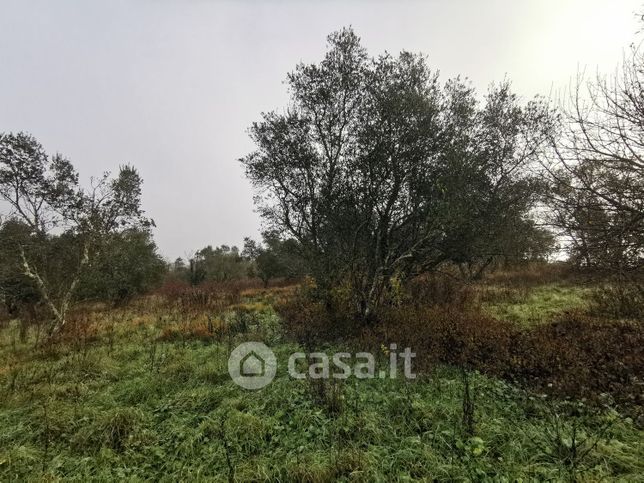 Terreno agricolo in commerciale in Via dei Noccioli