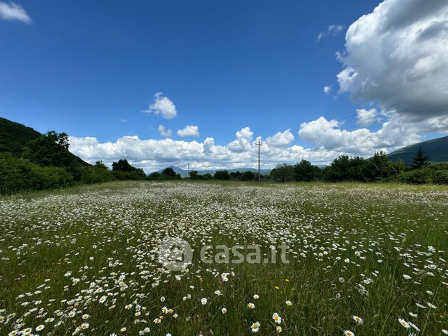 Terreno agricolo in commerciale in Strada provinciale per rocca di botte