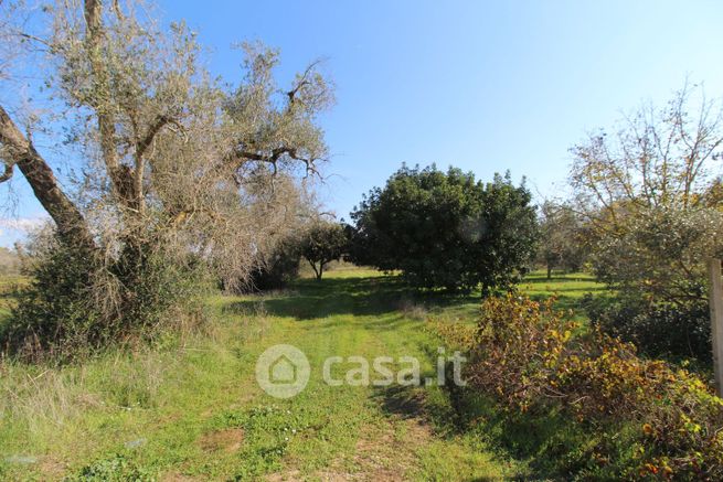 Terreno agricolo in commerciale in Contrada Vasapulli