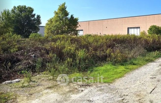 Terreno agricolo in commerciale in Via Erideo Marinucci