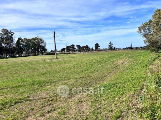 Terreno agricolo in commerciale in Via Idrovore