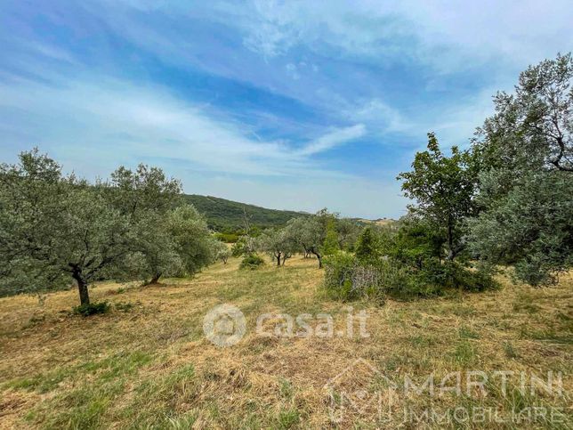 Terreno agricolo in commerciale in Via delle Fonti Vecchia