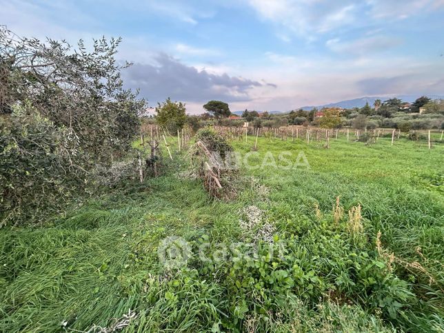 Terreno agricolo in commerciale in Via Castel Ginnetti