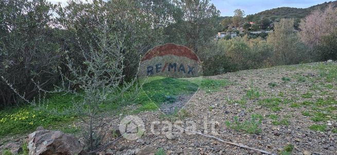 Terreno agricolo in commerciale in Strada Comunale per Monti Arrubiu