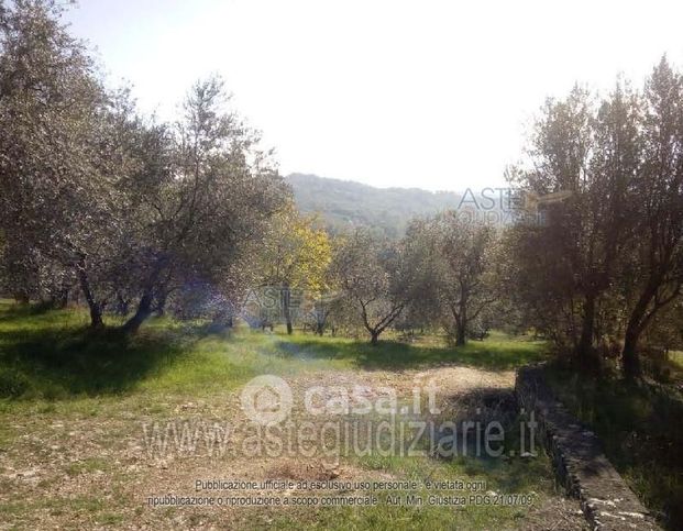 Terreno agricolo in commerciale in Via Pareti Cornella