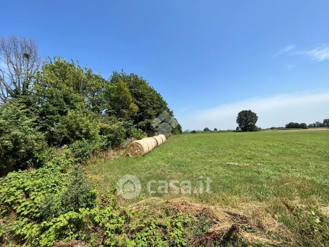 Terreno agricolo in commerciale in Via Guglielmo Marconi