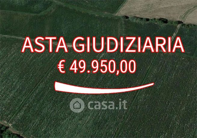 Terreno agricolo in commerciale in 