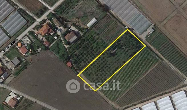 Terreno agricolo in commerciale in taverna nova