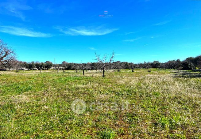 Terreno agricolo in commerciale in Strada Comunale Foggia dell'Albero