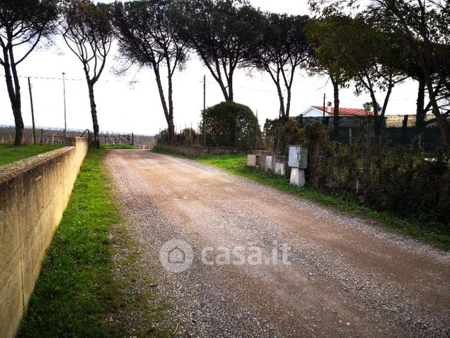 Terreno agricolo in commerciale in Via della Pescarella