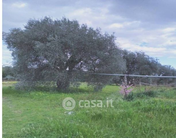 Terreno agricolo in commerciale in Strada Statale 598 di Fondo Valle d'Agri