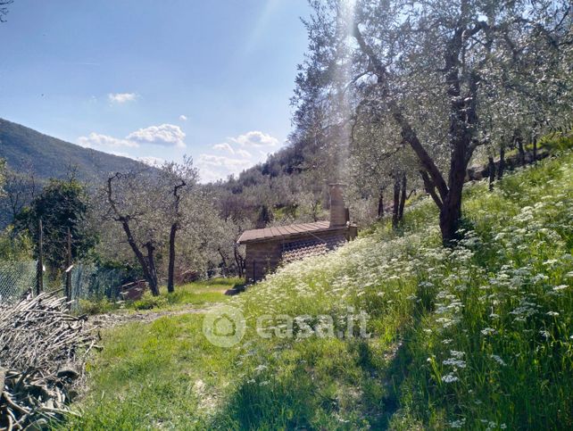 Terreno agricolo in commerciale in loc. rosciano