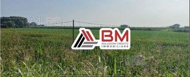 Terreno agricolo in commerciale in Via dei Romani