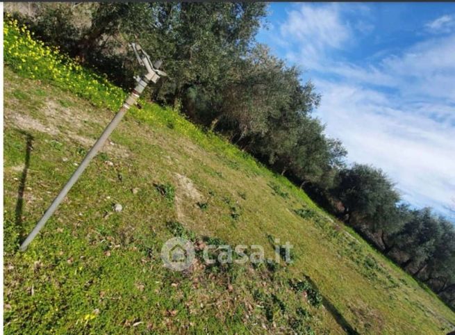 Terreno edificabile in residenziale in Strada Statale 113