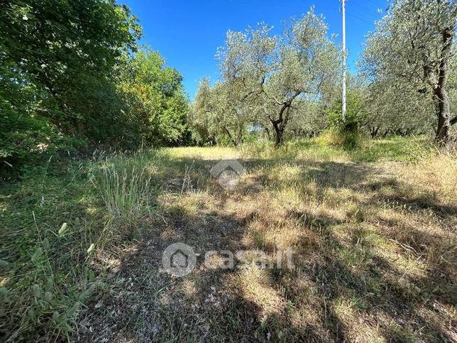 Terreno agricolo in commerciale in Strada Mazzatosta 11