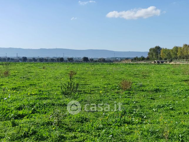 Terreno agricolo in commerciale in Contrada Capitolo