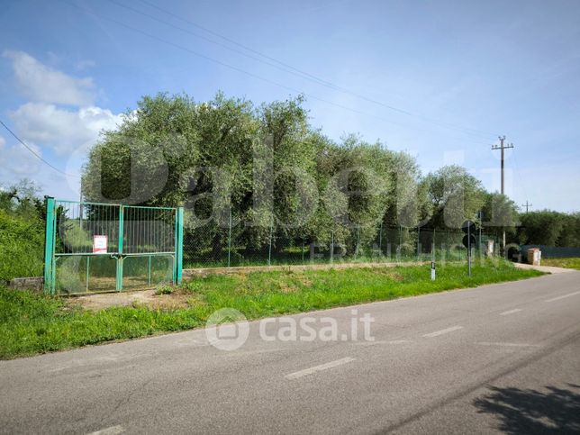 Terreno agricolo in commerciale in Strada Provinciale 26