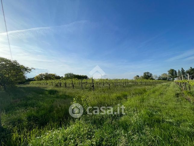 Terreno agricolo in commerciale in 