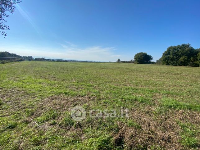 Terreno agricolo in commerciale in Via Mosse