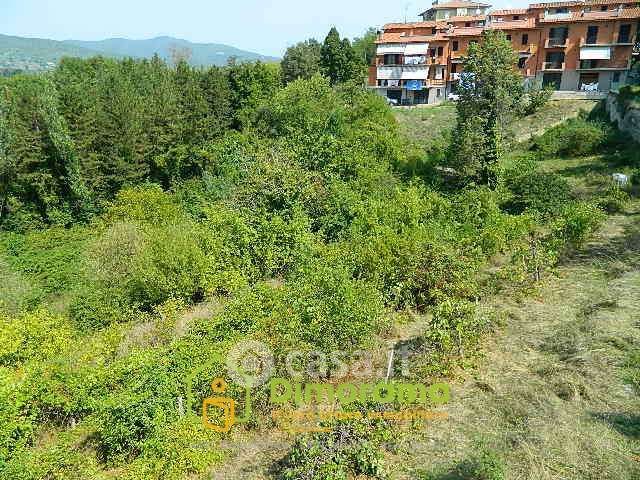 Terreno agricolo in commerciale in Via Po' della Fratta