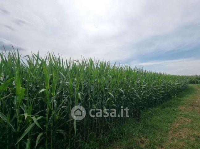Terreno agricolo in commerciale in Strada Porazza