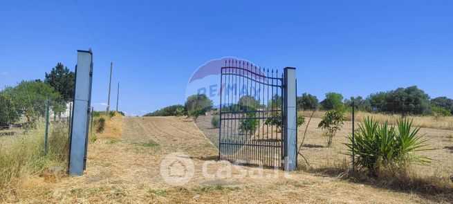 Terreno agricolo in commerciale in Contrada Commenda