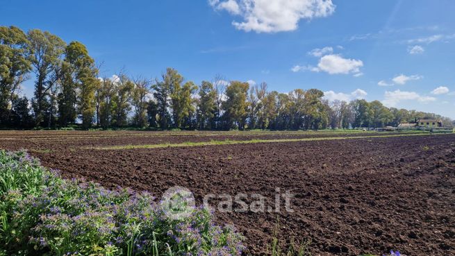 Terreno agricolo in commerciale in SP48 543
