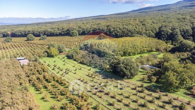 Terreno agricolo in commerciale in Strada Campogiordano