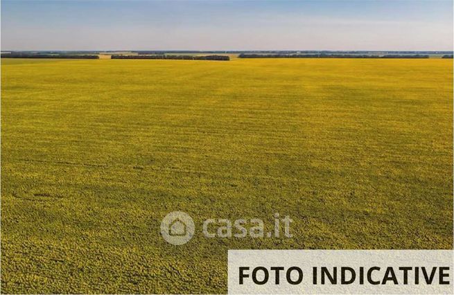 Terreno agricolo in commerciale in Via Benedetto Croce